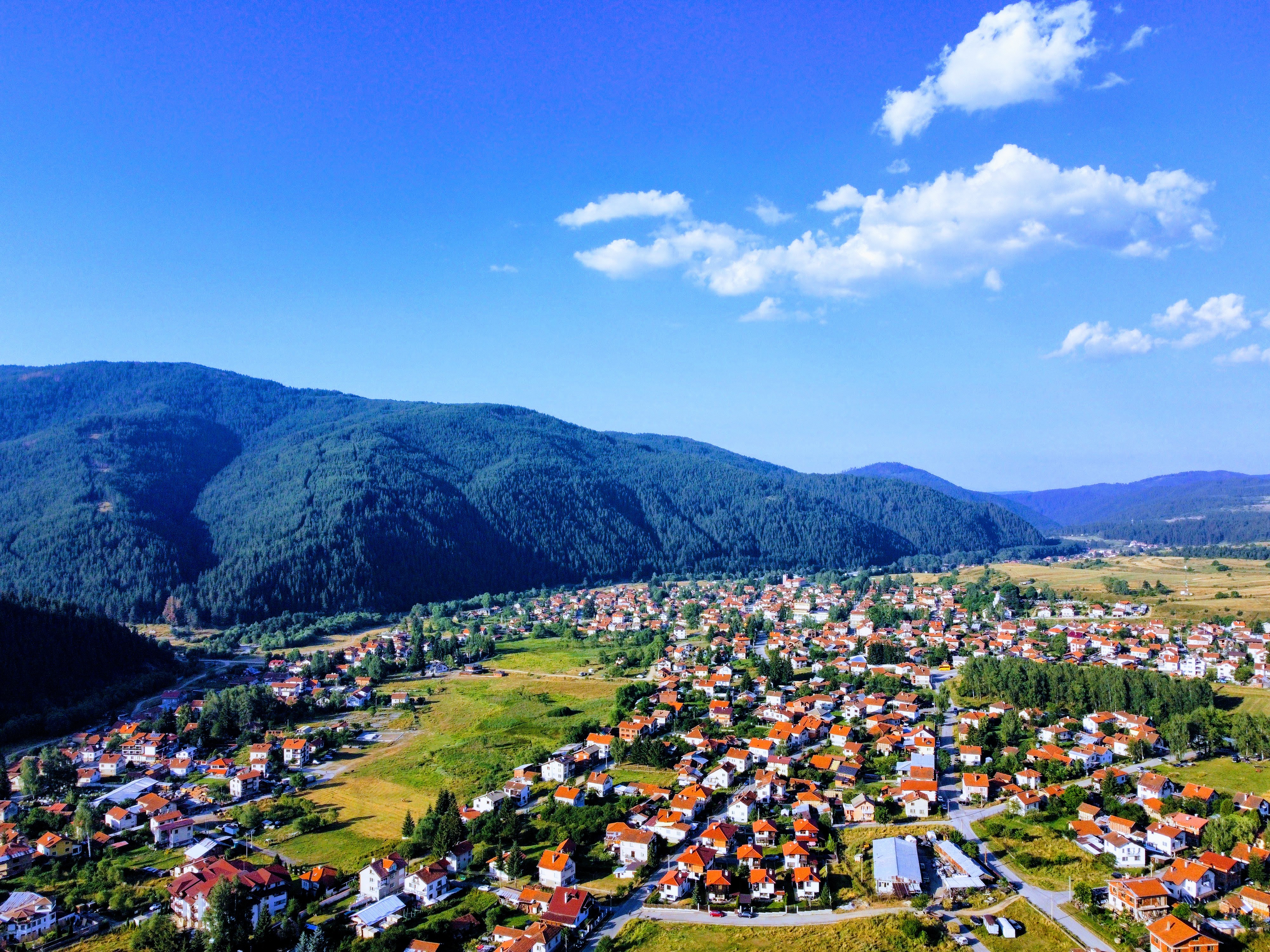 Govedartsi 2
